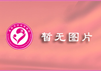 鞏固國家衛(wèi)生城市 共建文明美麗襄陽